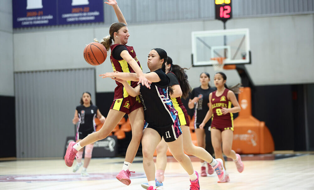 Basketball 1000 x 606 px 8