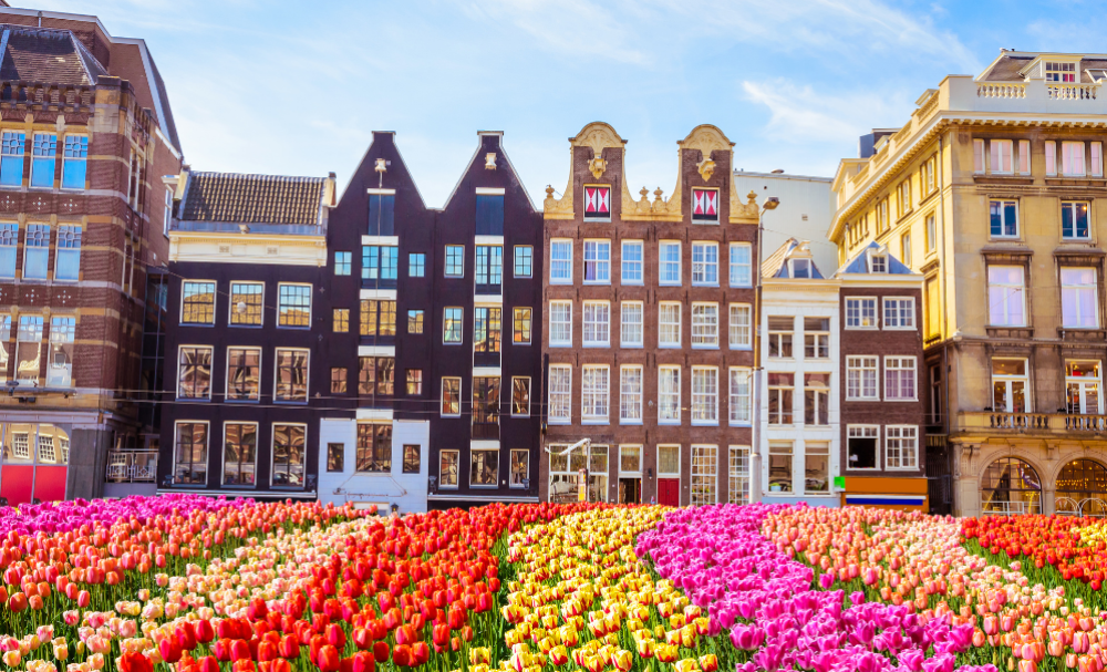 Amsterdam GV 1000 x 606 6
