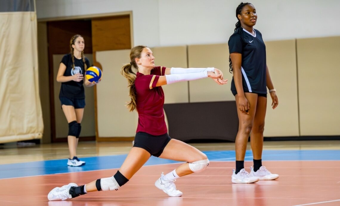 Volleyball Supporters Image2