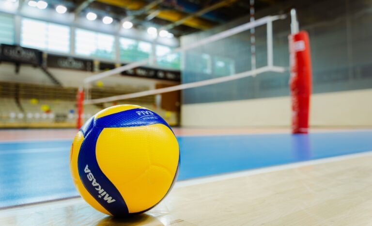 Volleyball Supporters Image6