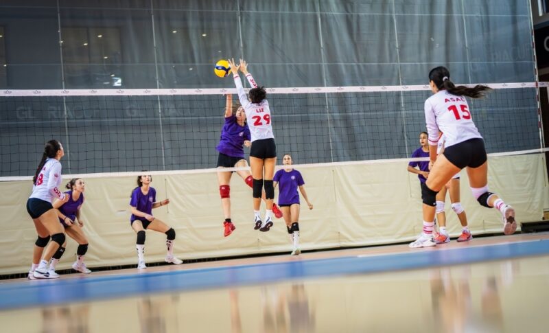 Volleyball Supporters Image5