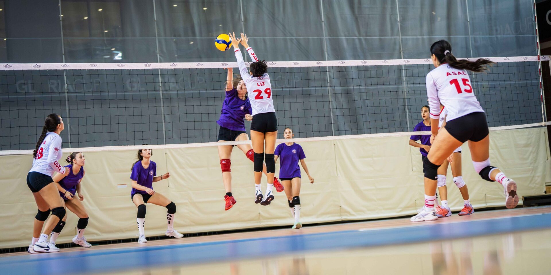 Volleyball Banner