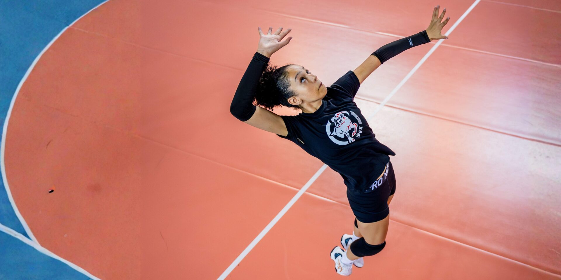 Volleyball CTA Banner