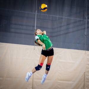 Volleyball Card