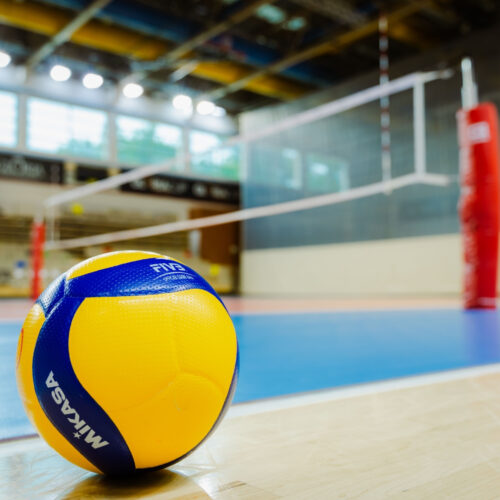 Volleyball Live Card Temp