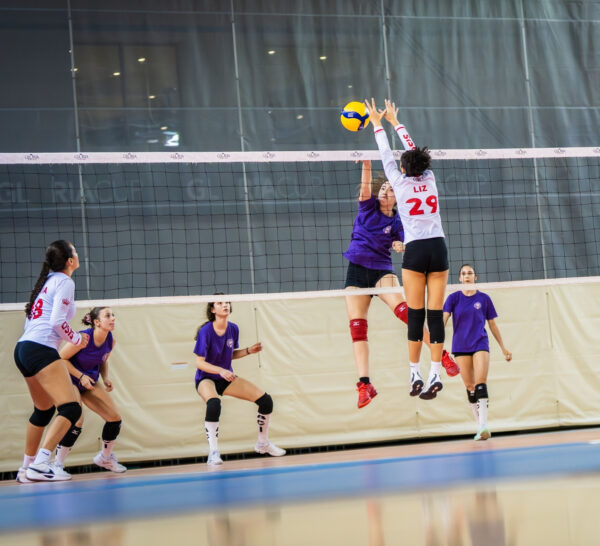 Volleyball Banner Mobile