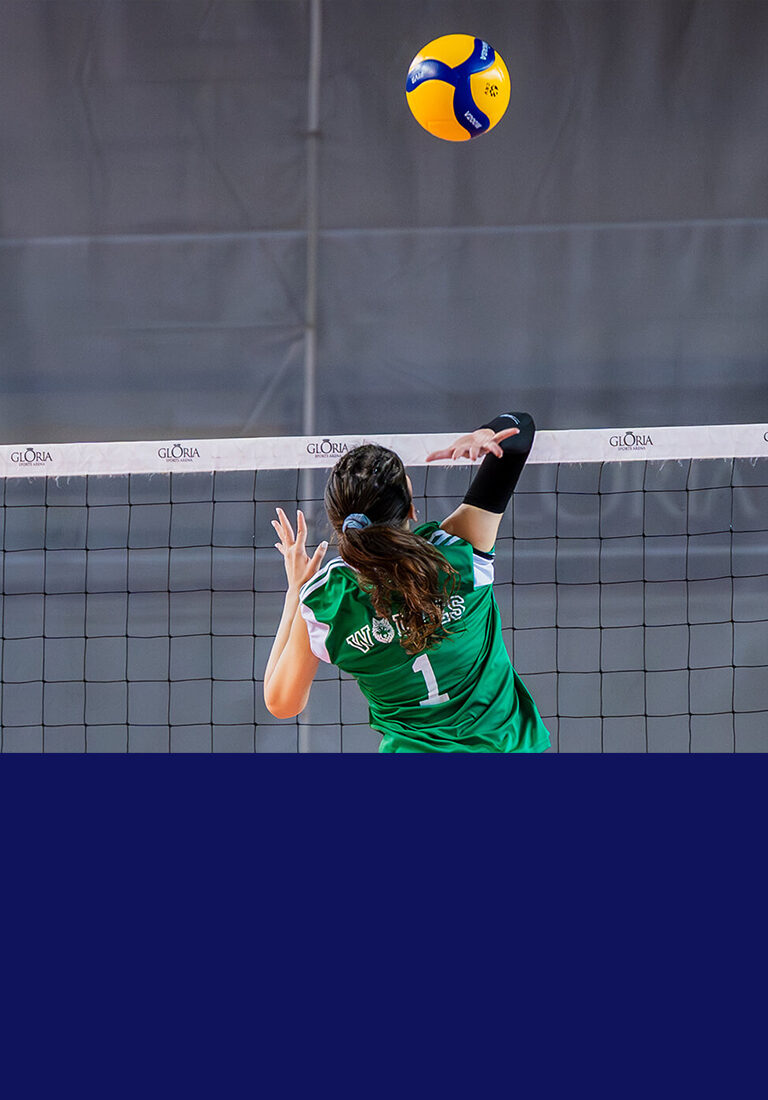 Volleyball CTA Mobile 1100 x 768px