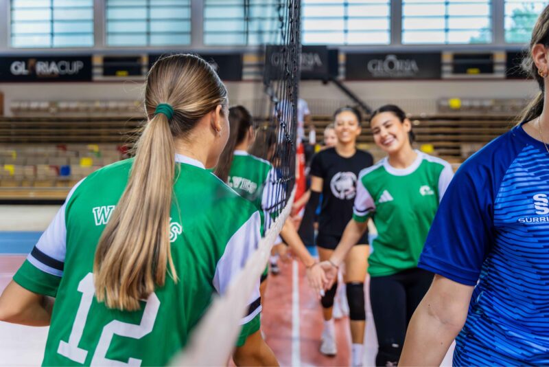 Volleyball Image1