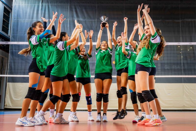 Volleyball Image2