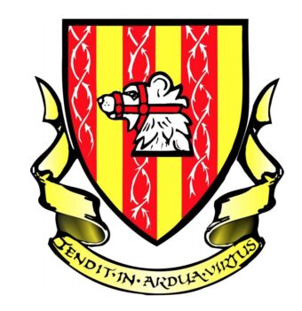 Mackie Academy badge