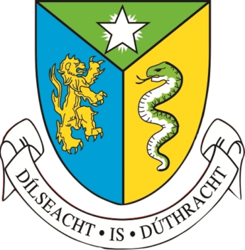 Naas CBS badge