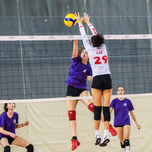 Volleyball image