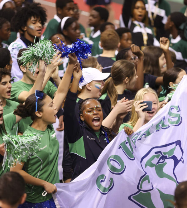 Schools Banner